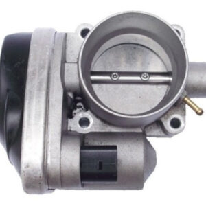 Corpo de borboleta Tbi Polo 2011